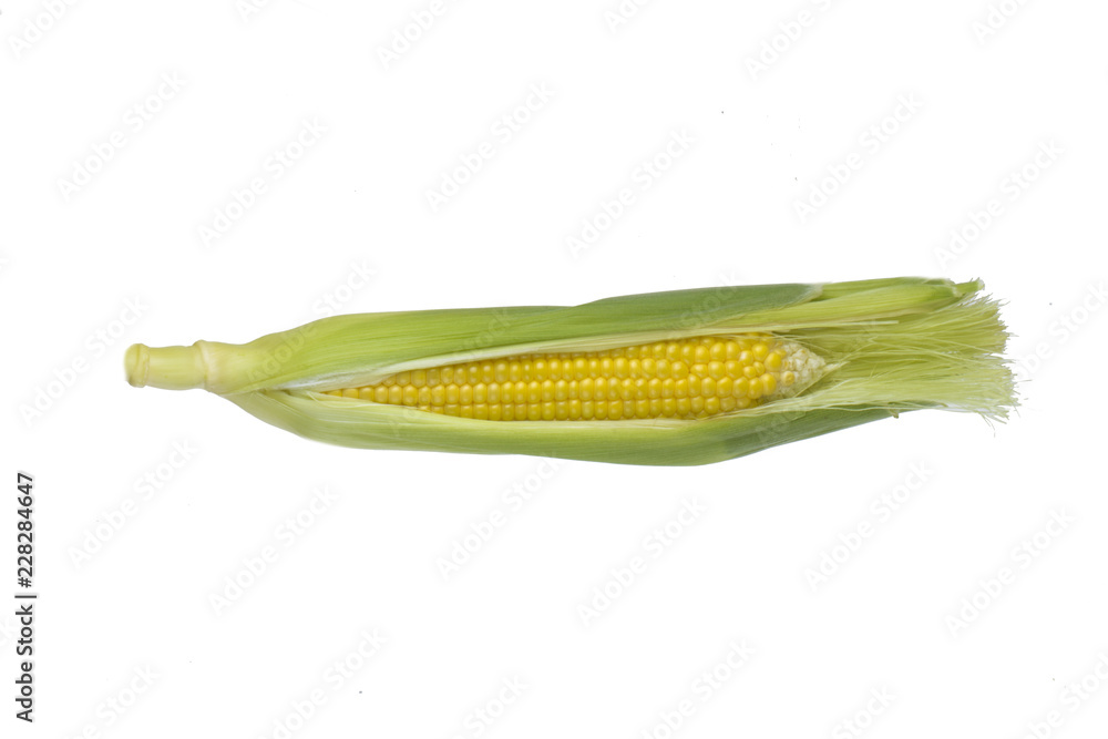 maize isolated on white background maize isolated on white background