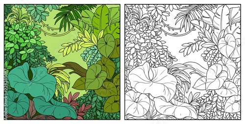 Wild jungle with lianas color and black contour line drawing for coloring on a white background
