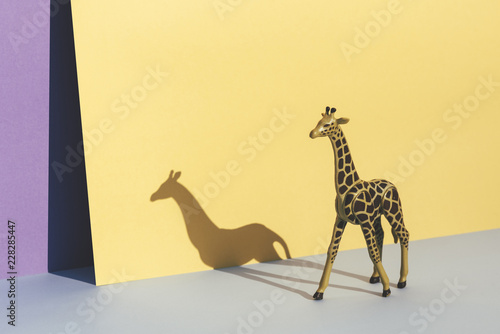 Photography Plastic toy giraffe, on yellow and blue background casting its shadow