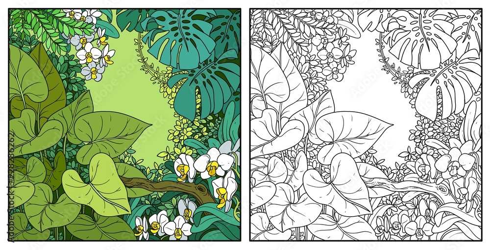 Jungle Drawing Background