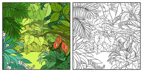 Jungle glade in thickets color and black contour line drawing for coloring on a white background