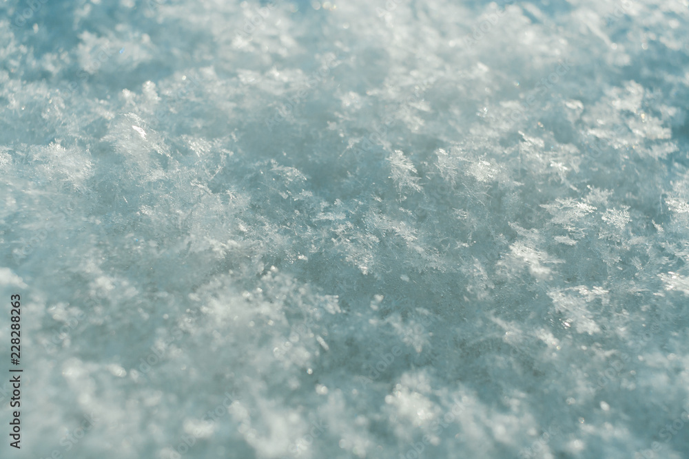 Winter turquoise background with soft focus of loose fresh snow with snowflakes.