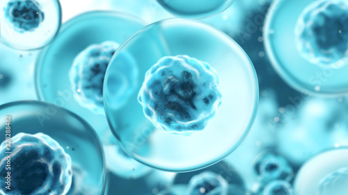 Foto Cell, microscopic macro human or animal cell, bacteria, virus.