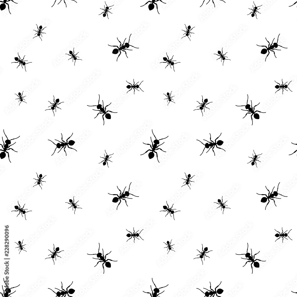 Black ants