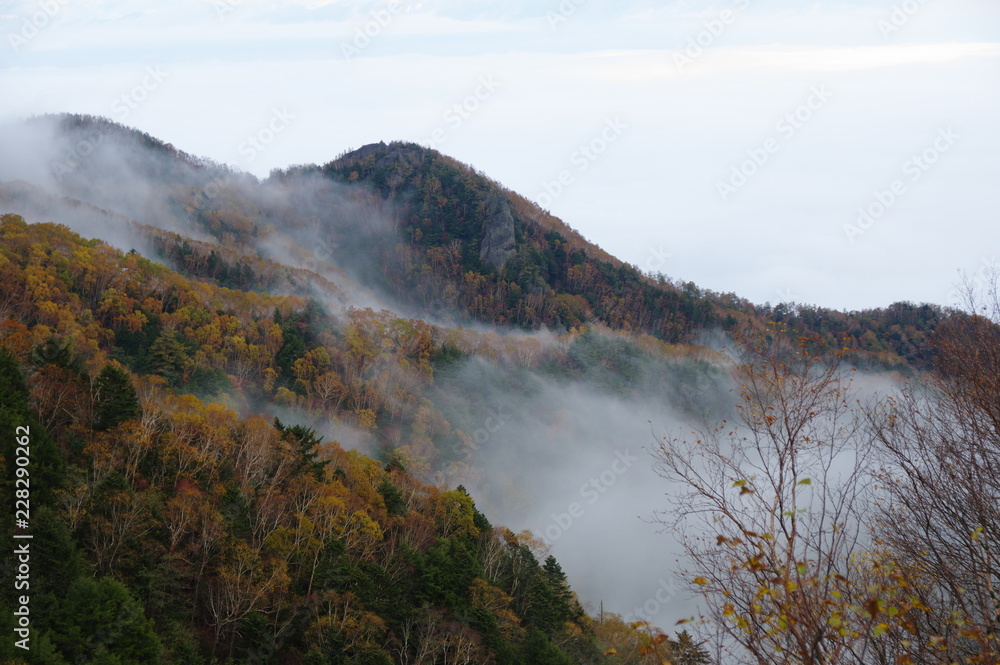 Εκτύπωση καμβά 霧の大河原峠