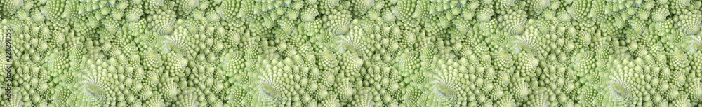 Romanesco broccoli close up seamless green stripe Romanesco broccoli close up seamless green stripe
