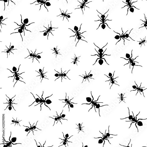 Ant seamless pattern. Black and white vector seamless pattern with ants. Animal background. © Aygun