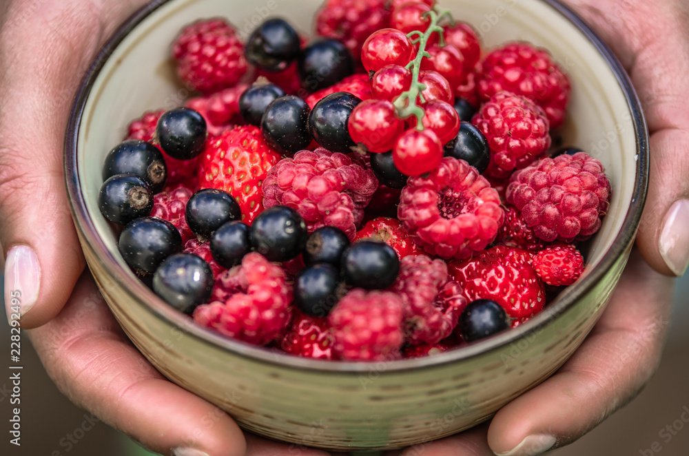 A cup with ripe berries of strawberry, raspberry, black currant, red currant A cup with ripe berries of strawberry, raspberry, black currant, red currant