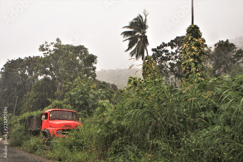 Guadeloupe, camion prisonnier des lianes sur la route de la trace des contrebandiers photo