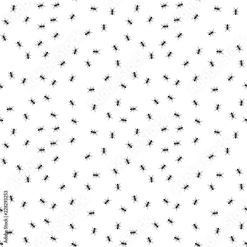 Ant seamless pattern. Black and white vector seamless pattern with ants. Animal background.
