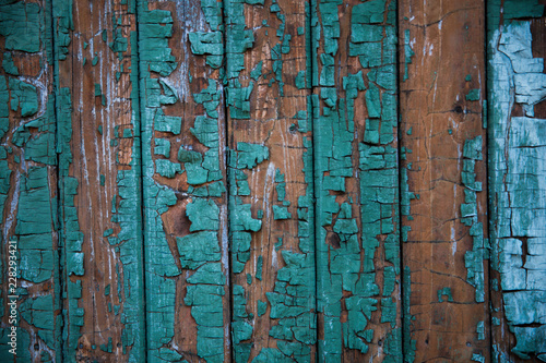 Old wooden door with teal paint