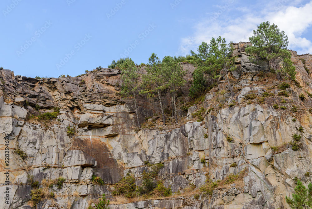 Naklejka premium landscape, trees on the rocks above the water