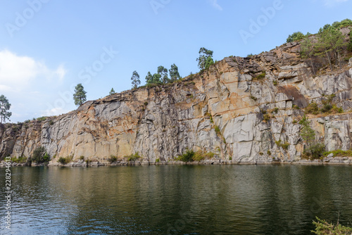 landscape, trees on the rocks above the water
