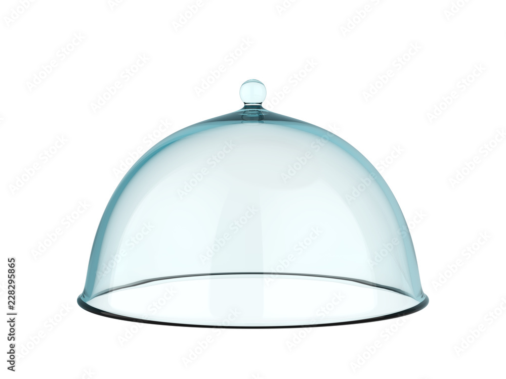 Glass Spherical Cover with Handle Glass Spherical Cover with Handle
