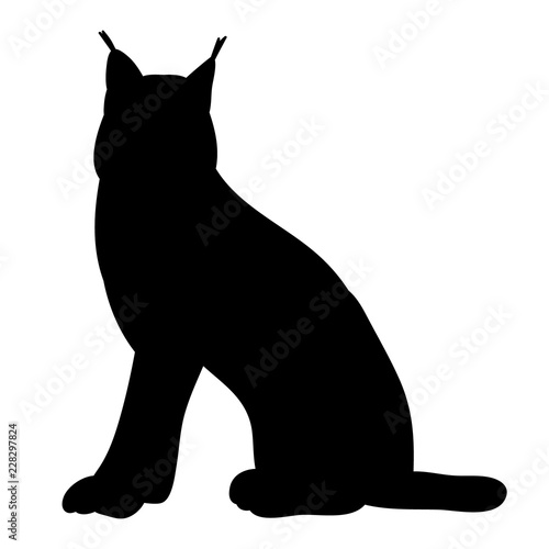  silhouette of a lynx