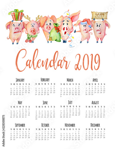 Mounthly calendar for 2019 new year with watercolor cute pigs photo