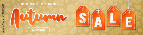 Autumn Sale - shiny banner. Vector.