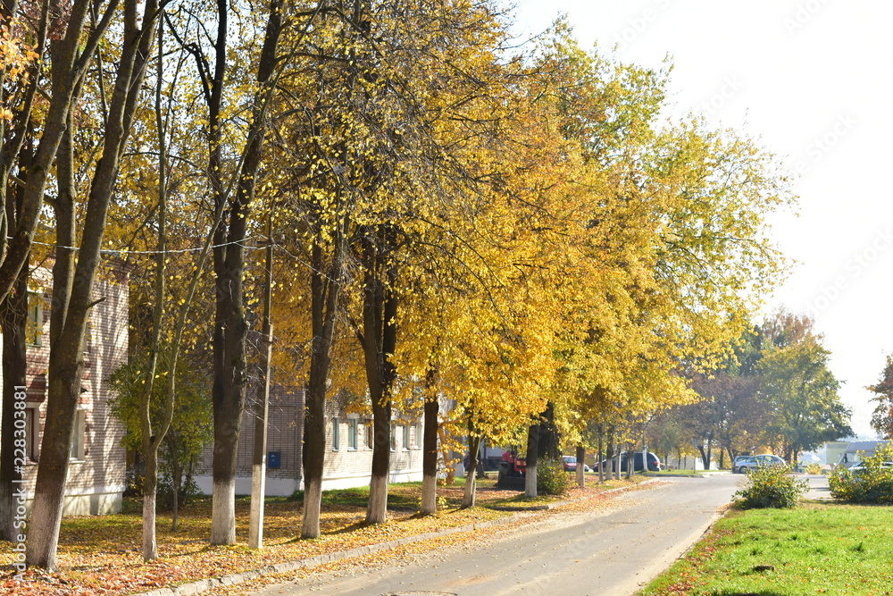 Naklejka premium View of the street in the fall