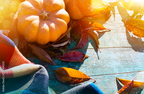 Thanksgiving With Pumpkins, autumn leaves And warm blanket On Wooden Table