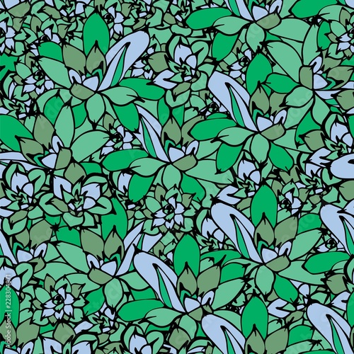 Cactus seamless vector pattern with Echeveria . Cacti fabric print design. Succulent textile surface. Hand drawn vector illustration.