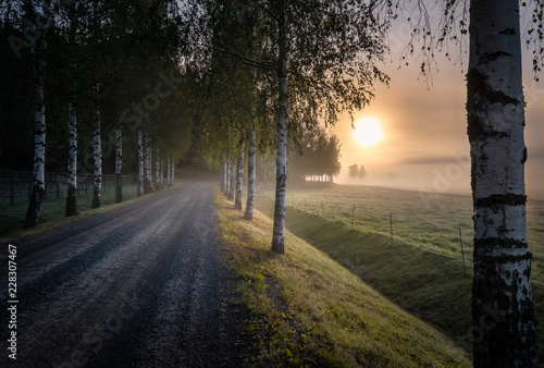 Idyllic sunrise landscape with road and fog at beautiful autumn morning in Finland