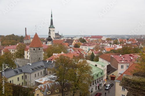 roofs of Tallinn old town