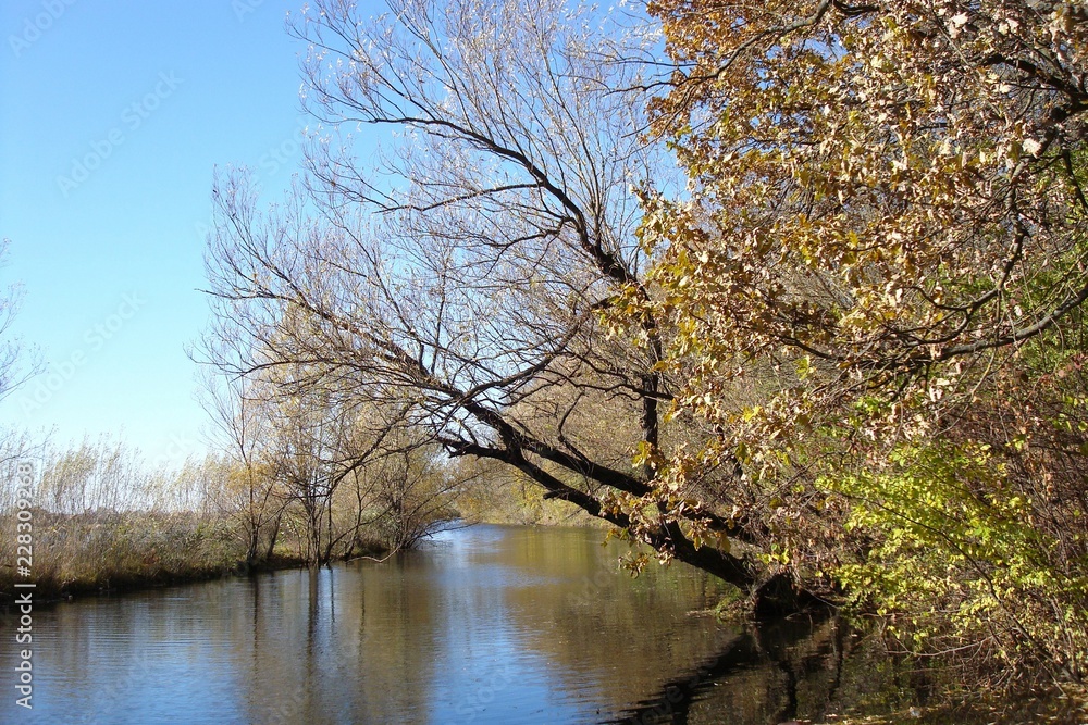 Small river with trees along both shores latest autumn Small river with trees along both shores latest autumn