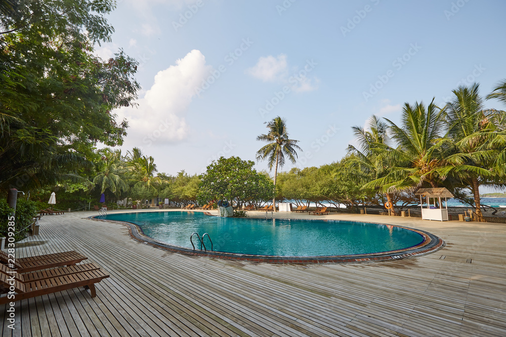 Swimming pool side of luxury hotel ith deck chairs, palm trees and blue ocean. Maldives