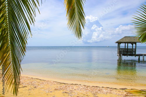 Roatan, West End, Weststrand, Paradies, Sandstrand mit Palme photo