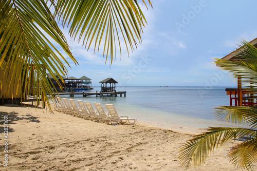 Roatan, West End, Weststrand, Paradies, Sandstrand mit Palme photo