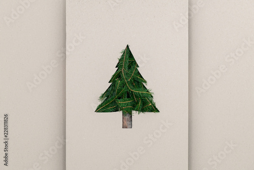 Text or logo empty copy space in vertical top view cardboard with natural eco Christmas tree pine.Ecology, enviroment concept.Xmas winter holiday season social media card background photo