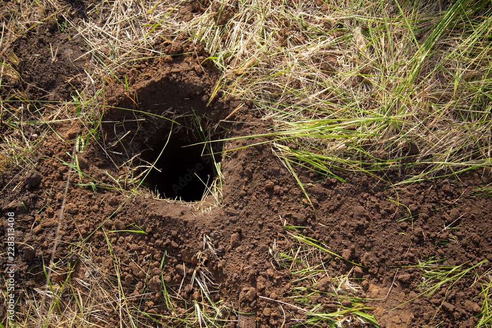 Dug pit in the ground for the fence Dug pit in the ground for the fence