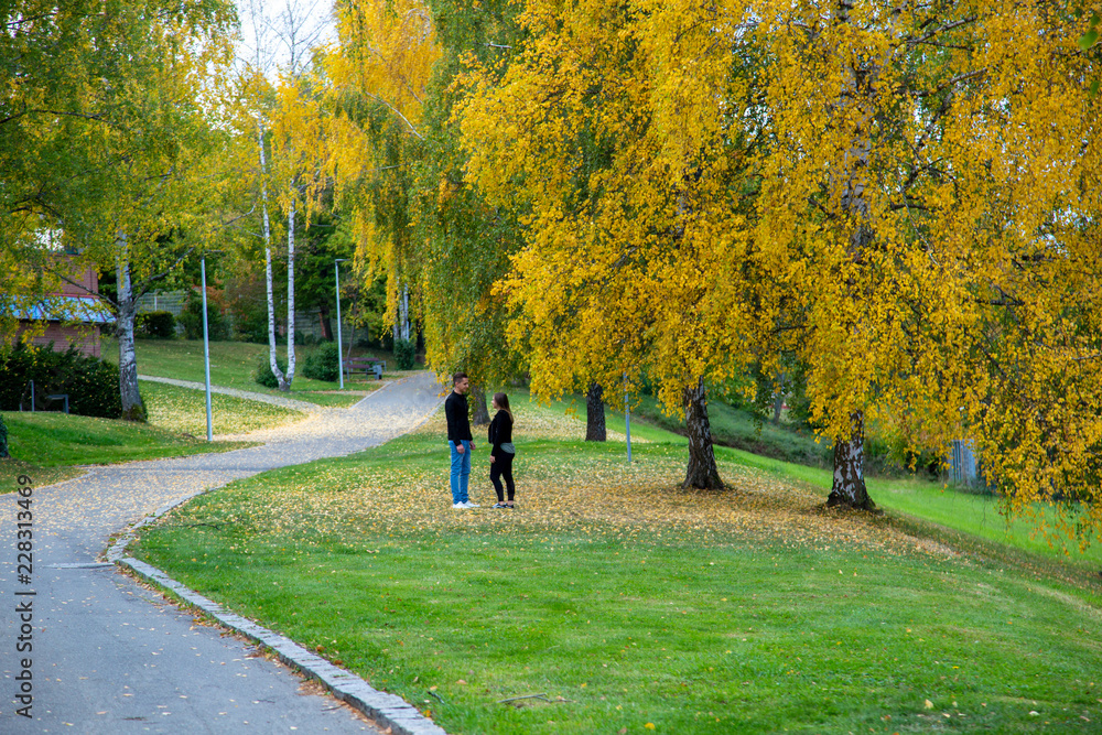 Young couple walking in autumn Park