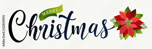 Christmas design composition of poinsettia, fir branches, cones, holly and other plants. Cover, invitation, banner lateral, greeting card. Vector illustration.