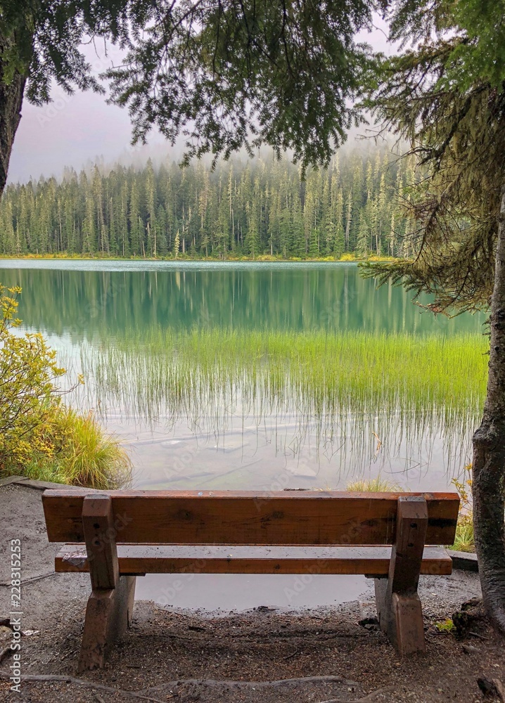 Fototapeta premium Bench Joffre Lake