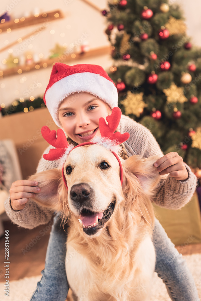 happy child in santa hat and dog with deer horns having fun at home near christmas tree happy child in santa hat and dog with deer horns having fun at home near christmas tree