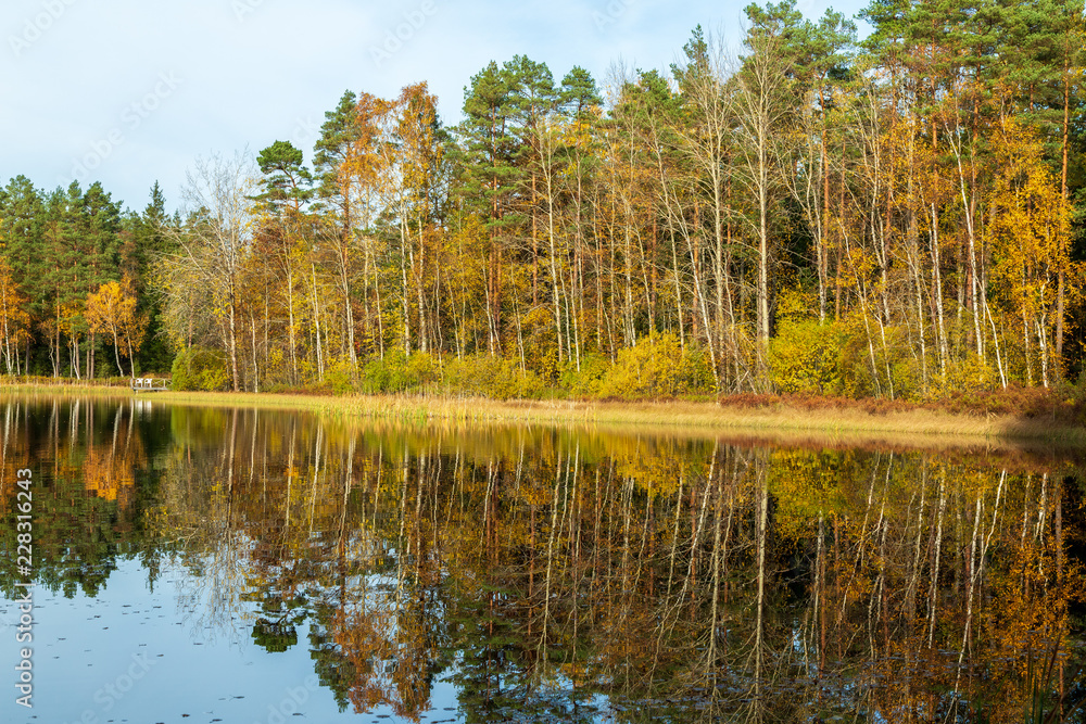 Liten insjö med skog i höstfärger Stock Photo | Adobe Stock