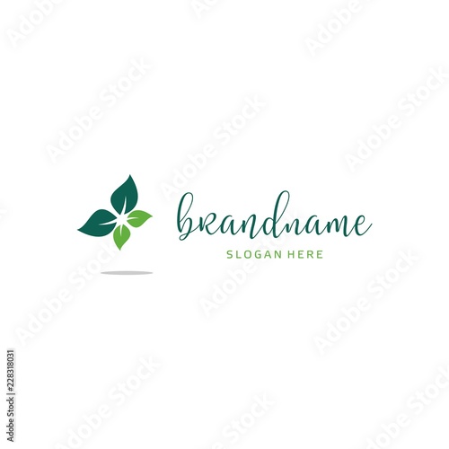 Simple butterfly with leaf Logo design vector illustration 