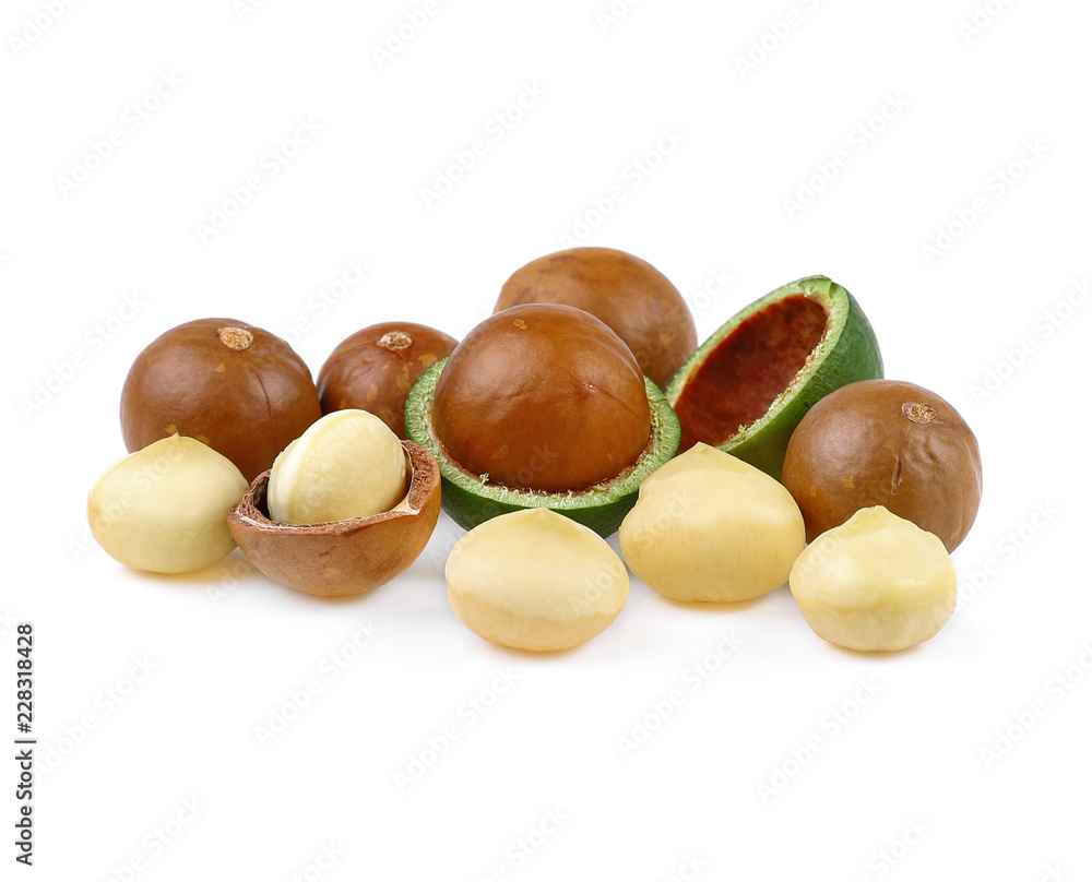 Macadamia nut isolate on white background Macadamia nut isolate on white background