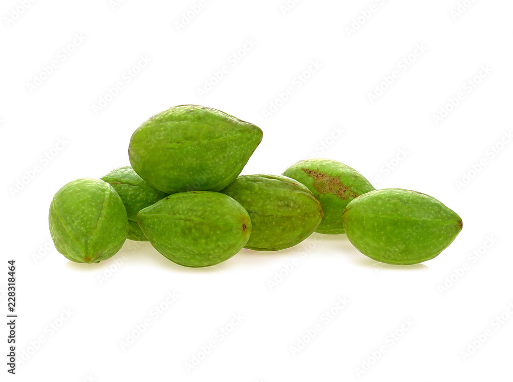 Chebulic Myrobalans, Myrolan Wood (Terminalia chebula Retz.) Fruit, medicinal properties. Chebulic Myrobalans, Myrolan Wood (Terminalia chebula Retz.) Fruit, medicinal properties.