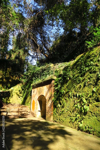 Fototapeta Naklejka Na Ścianę i Meble -  山中にある古いトンネル
