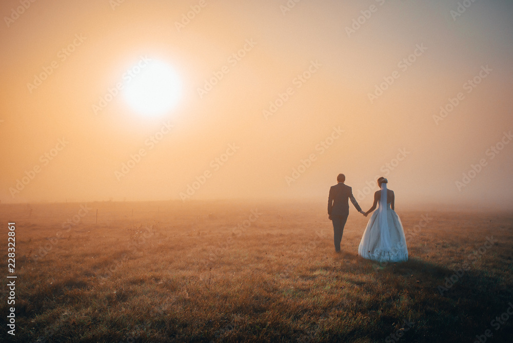 Wedding couple walking in beautiful romantic misty morning. White edit space. Wedding couple walking in beautiful romantic misty morning. White edit space.
