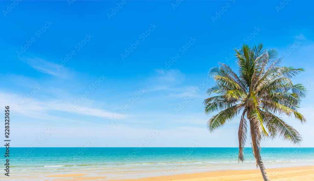 Tropical paradise beach with sand and coco palms travel tourism blue sky as background