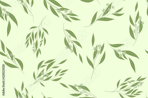 Elegant Eucalyptus Seamless Pattern in Pastel Color Design. Watercolor Style. Vector Leaves, Palm Fern Branches and Herbal Bouquet. Greenery of Rustic Wedding. Eucalyptus Pattern for Decoration, Print