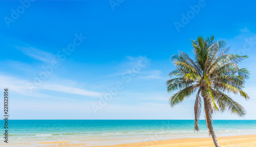 Tropical paradise beach with sand and coco palms travel tourism blue sky as background © sarapon