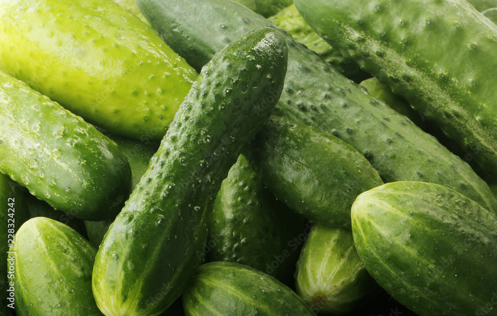 heap of cucumbers background heap of cucumbers background