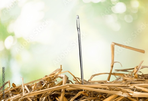 Close up of Needle in haystack on