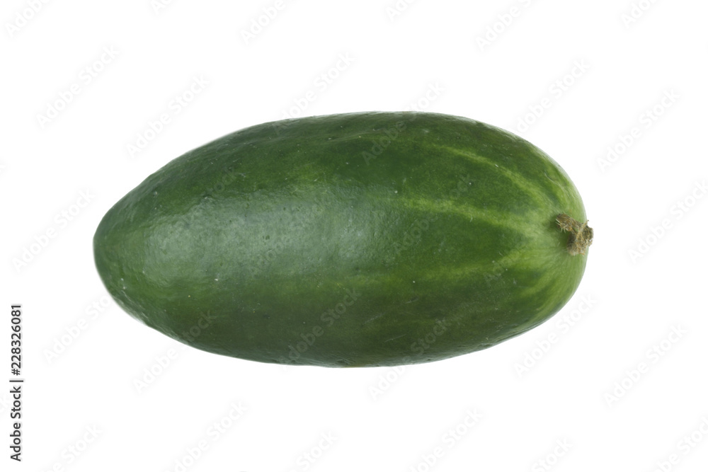 fresh green cucumber isolated on white background fresh green cucumber isolated on white background