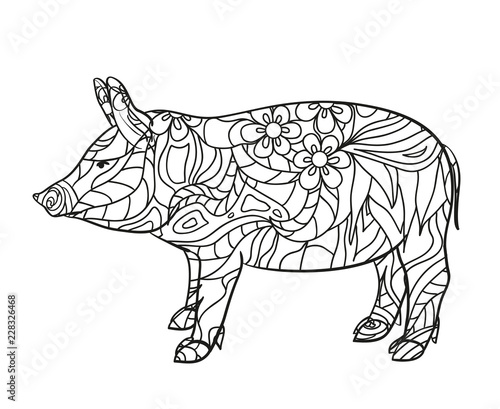 Pig on white. Hand drawn animal with intricate patterns on isolated background. Design for spiritual relaxation for adults. Black and white illustration for coloring. Zen art. Zentangle