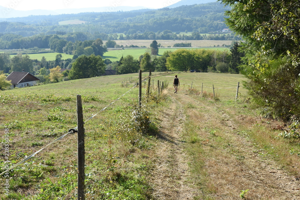 wandelaar op wandelpad in de heuvels van de Vogezen bij Lesseux